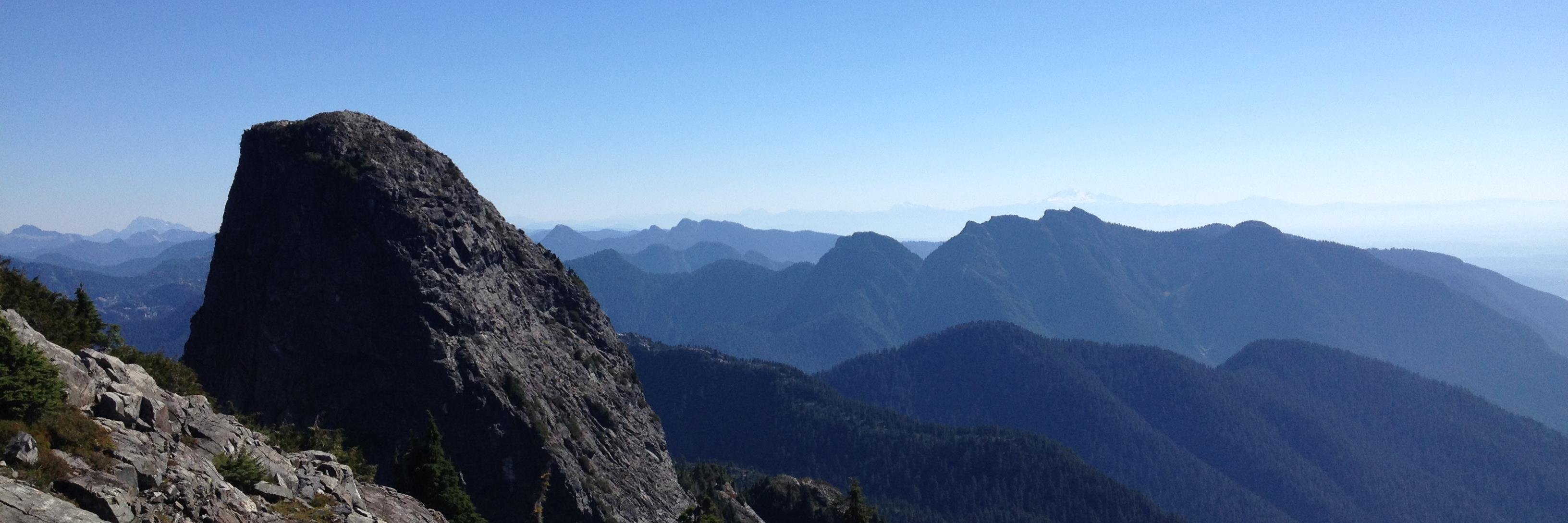 Dr. Heather Bliss banner