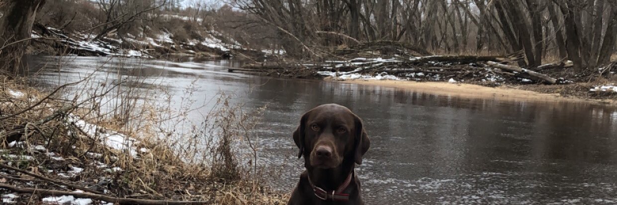 joelepine10's profile banner image
