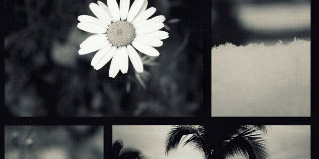 NikkiMarieR's profile banner image