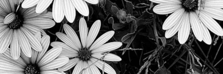 urayfinanda's profile banner image
