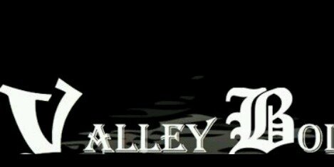 Vallsta989's profile banner image