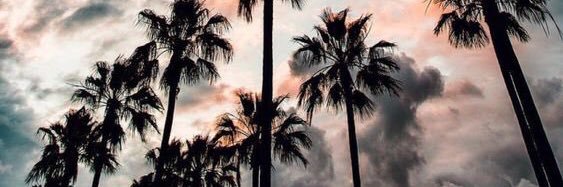 EnzoSevillo's profile banner image
