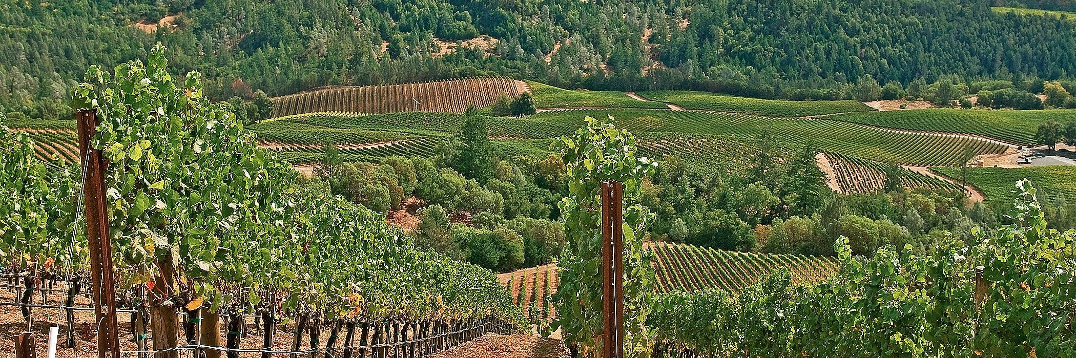 Food, Drink, Travel banner