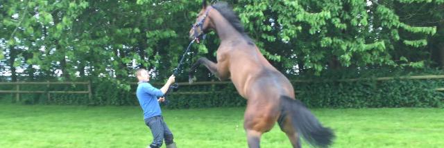 AJMccabeRacing's profile banner image