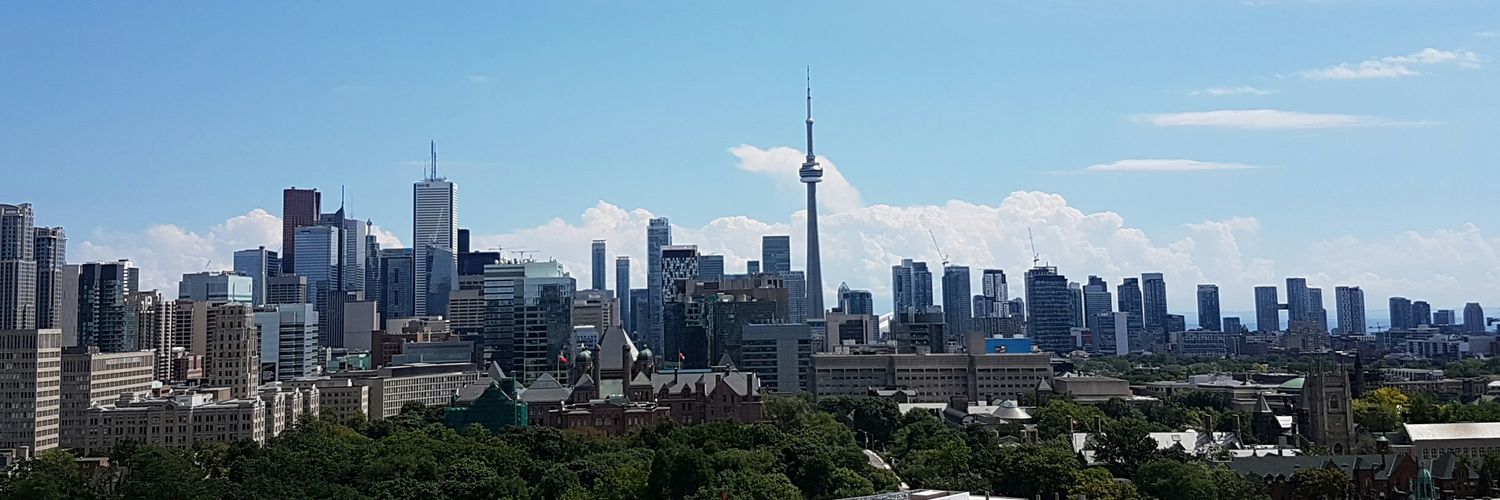 Sana I. banner