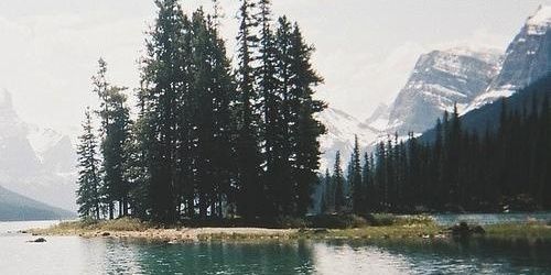 AnabelleL_RPL's profile banner image
