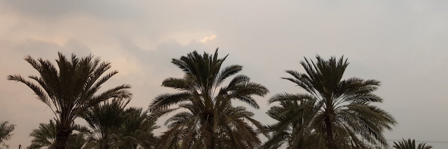 aldoohaimi's profile banner image