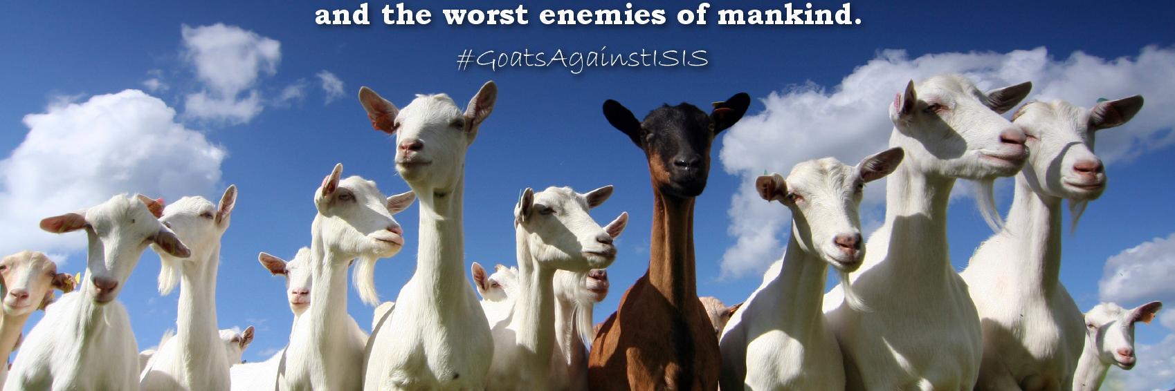 Goat_Team_6's profile banner image