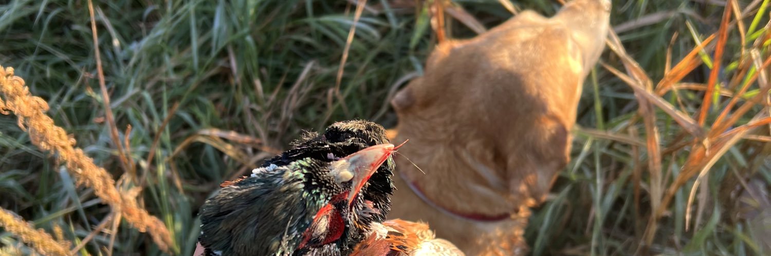 CarterBailey_14's profile banner image