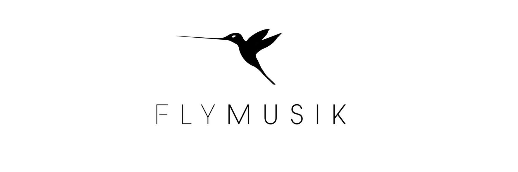FlymusikRecords's profile banner image