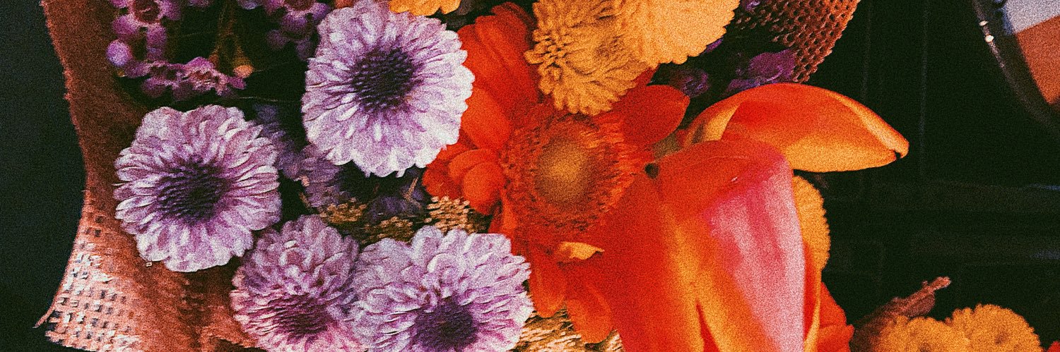 hellocamilliooo's profile banner image