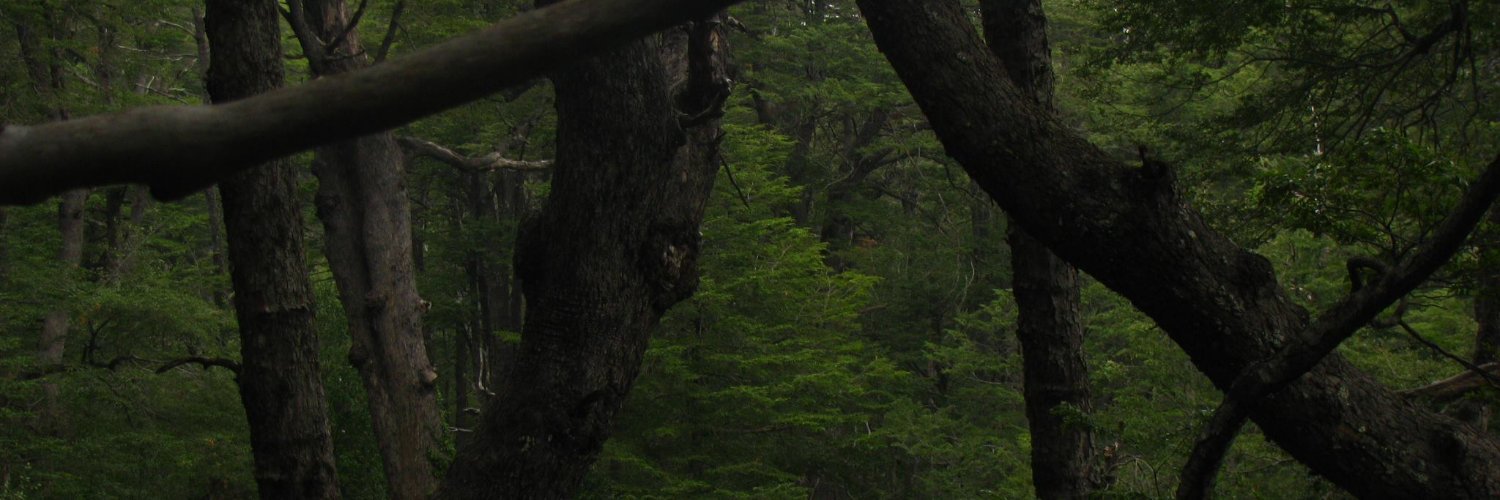 Camila_Cyborg's profile banner image