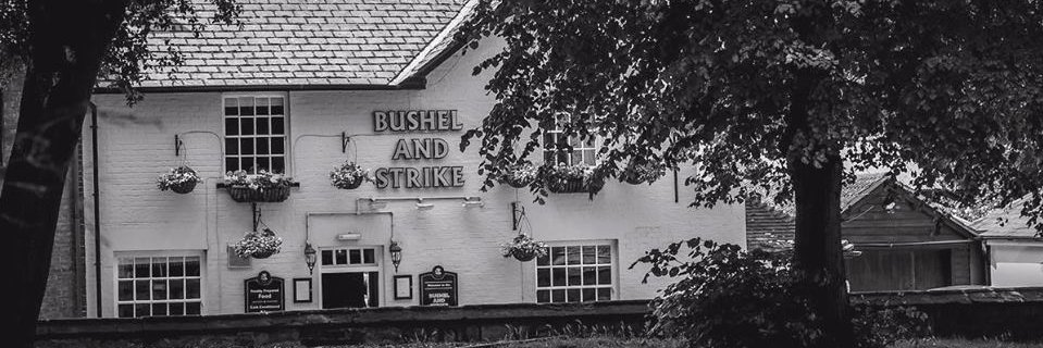 TheBushel's profile banner image