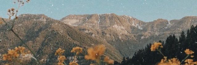 alysonstokess's profile banner image