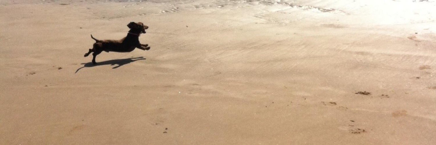 SandySshoff's profile banner image