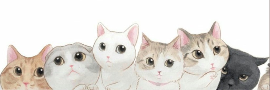 ozgehi's profile banner image