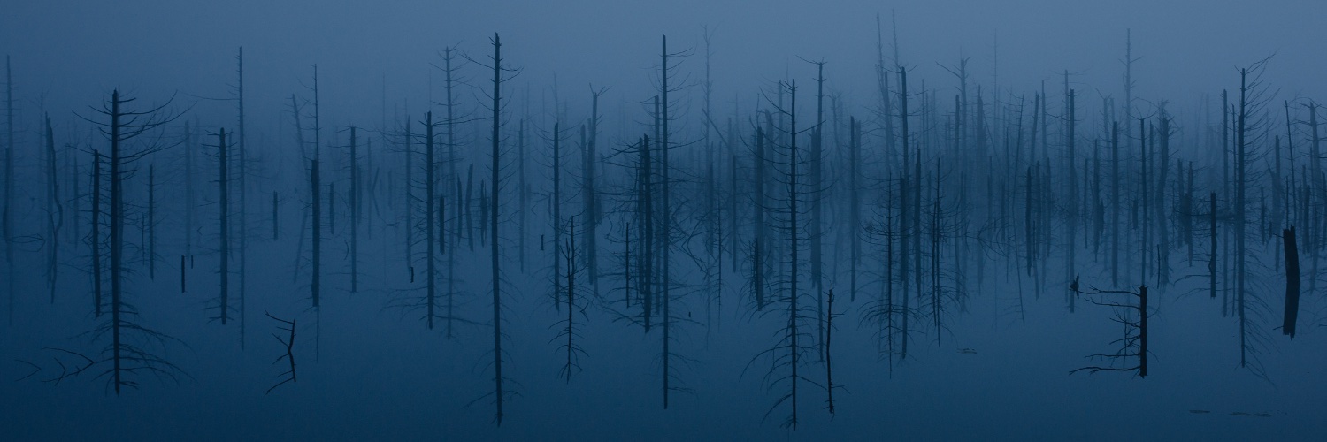 Florian Wenzel banner