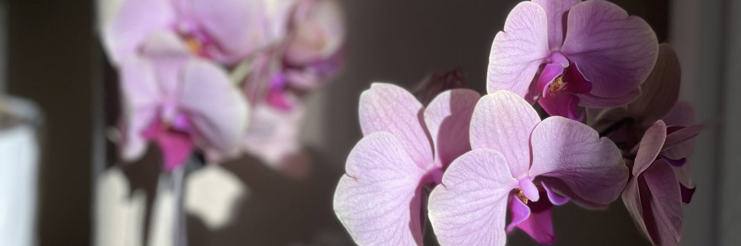 _xggg's profile banner image