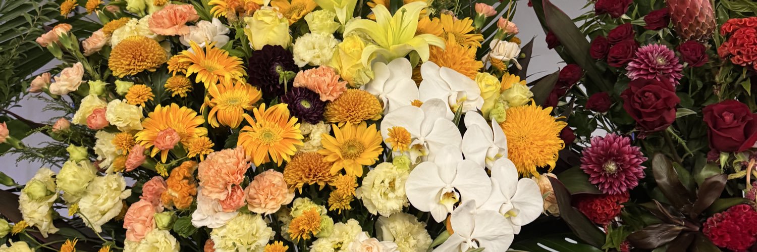 tm_y1317's profile banner image