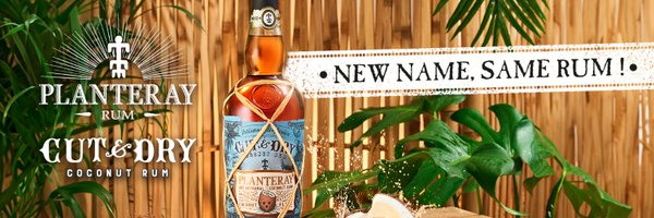 Planterayrum Profile Banner