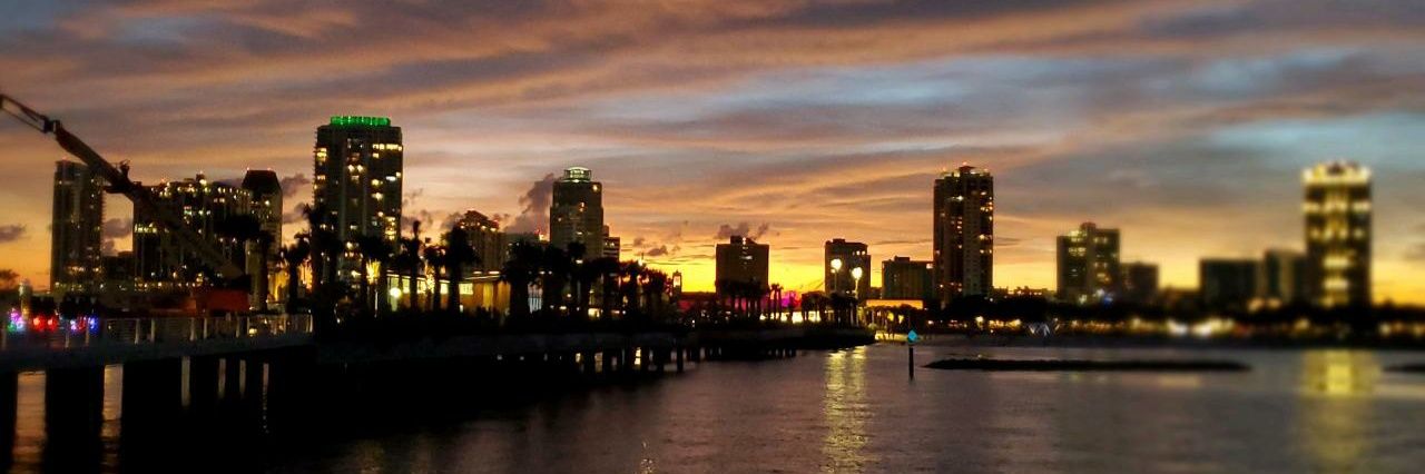 NYFoxinFlorida's profile banner image