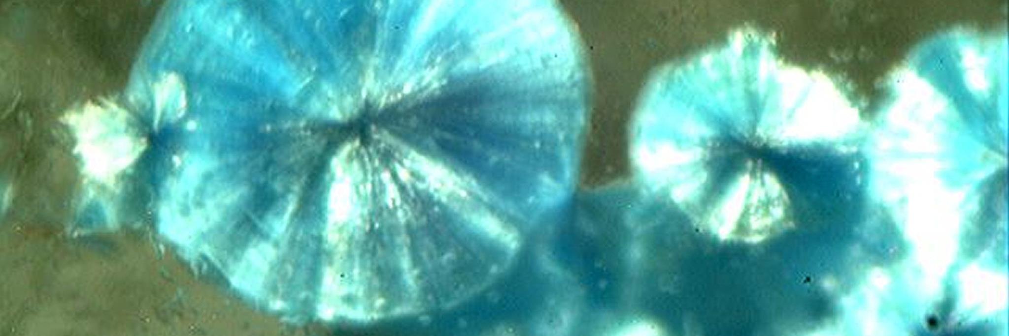 gemgazer's profile banner image