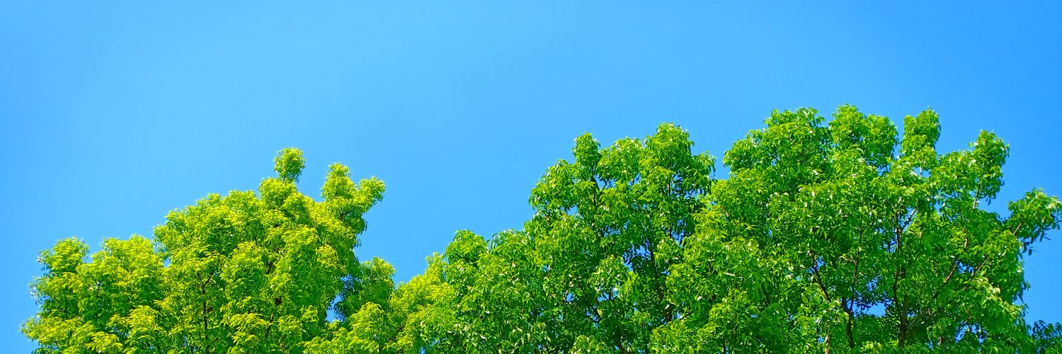 Kikang06's profile banner image