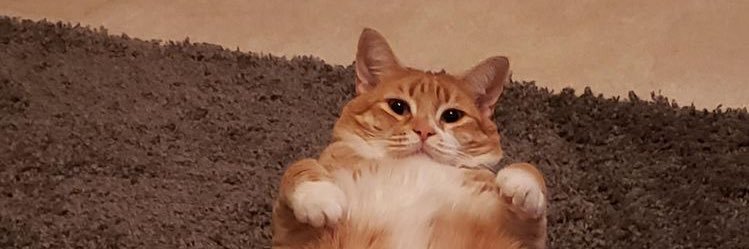 Chawayyj's profile banner image