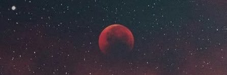 angelinredlight's profile banner image