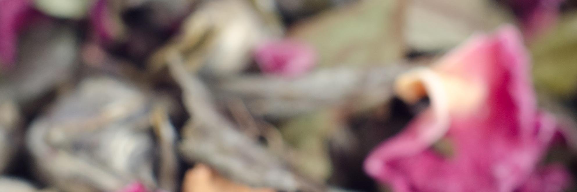 fojum8's profile banner image