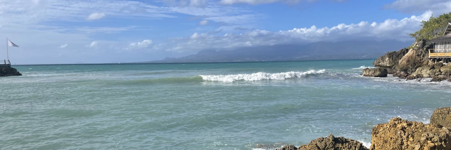 Jimmy Van Bramer banner