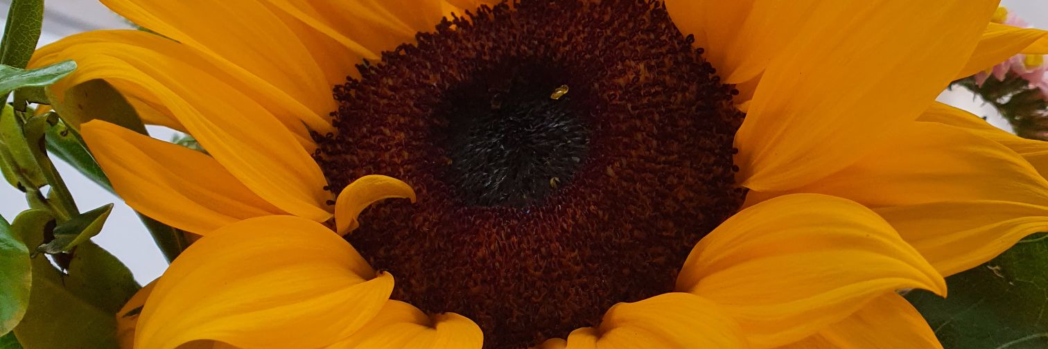 arelyvamo's profile banner image