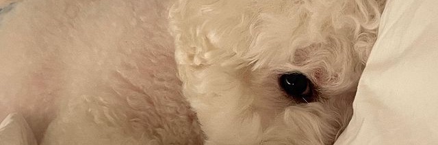 Kiel banner