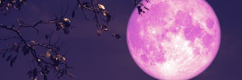 RufusAdams8's profile banner image