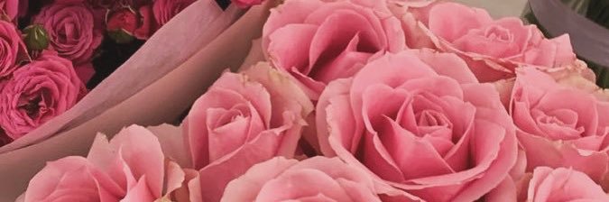 Ada❤️🌹 banner