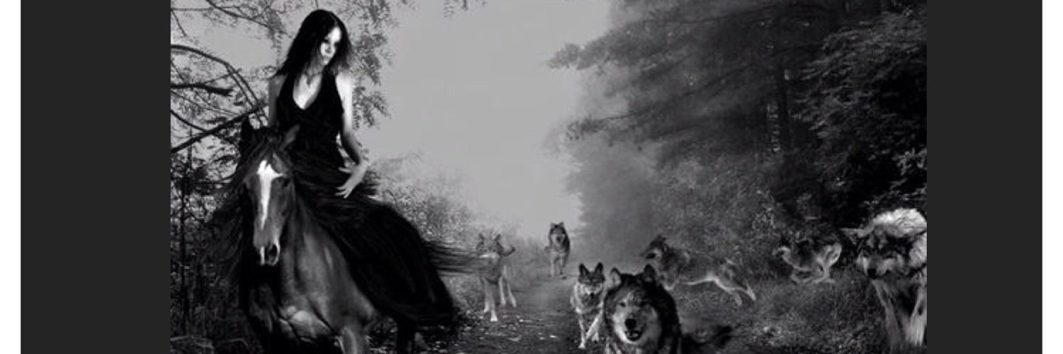 WclfGoddess's profile banner image