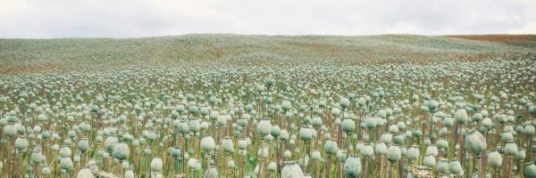 AlexBrunicki Profile Banner