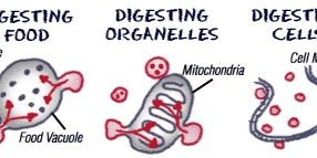 LYSOSOME2ap's profile banner image
