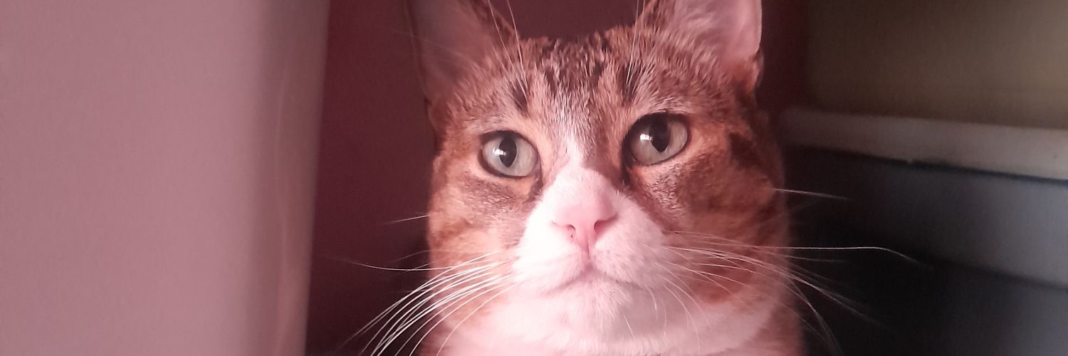 Grimorio Con K De Karma banner