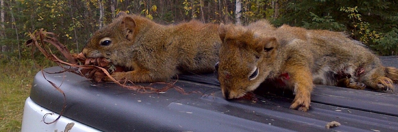 squirrelskinner's profile banner image