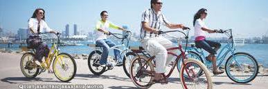 Pedego Southend banner