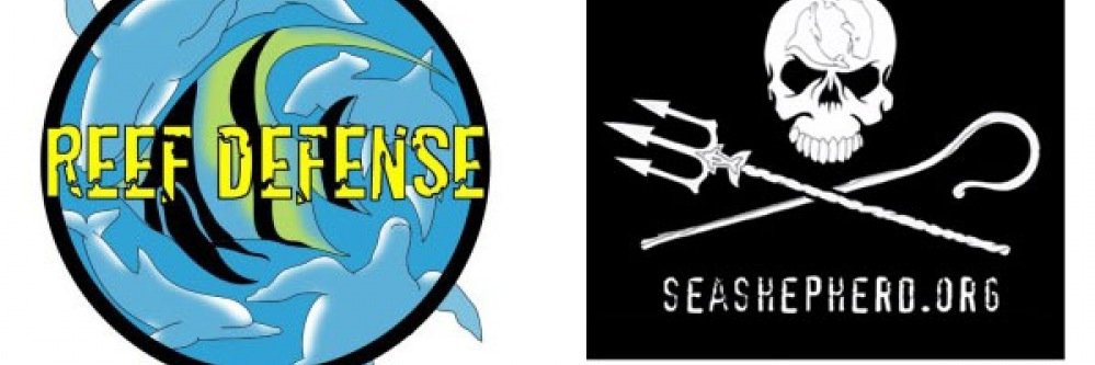 MissionReef's profile banner image