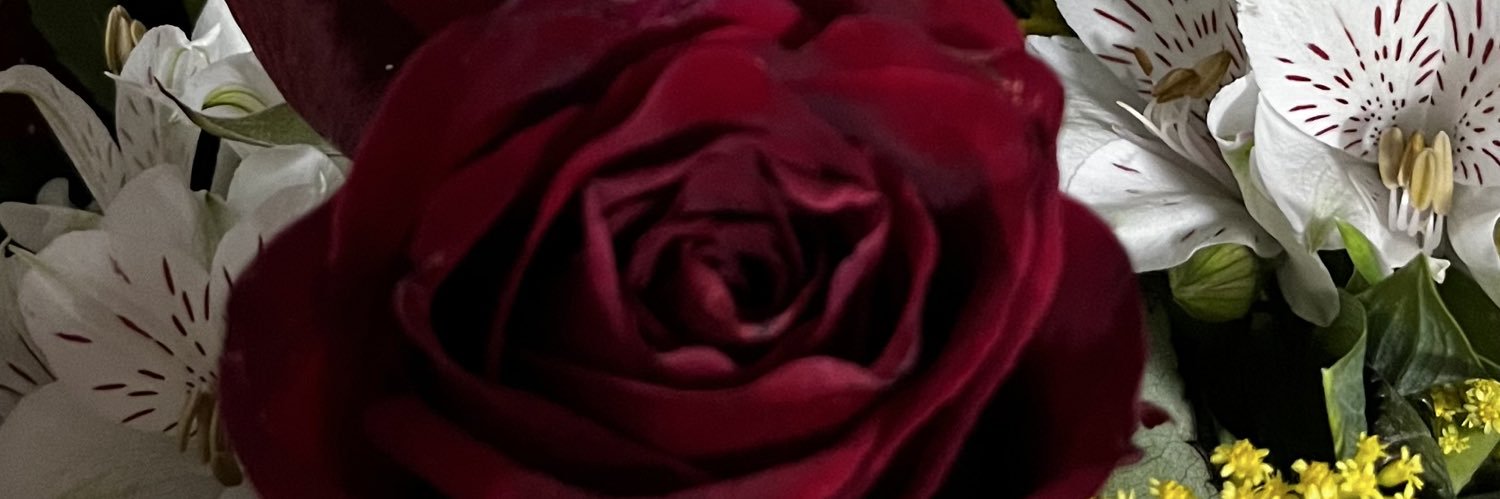 lierocha's profile banner image
