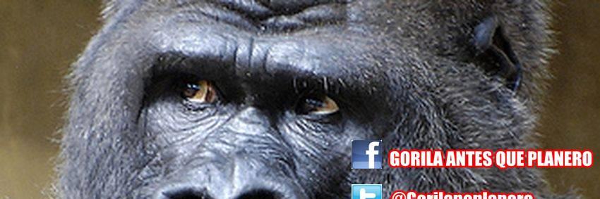 noplanero's profile banner image