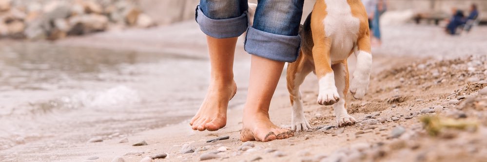 WalkYourDogWeek's profile banner image