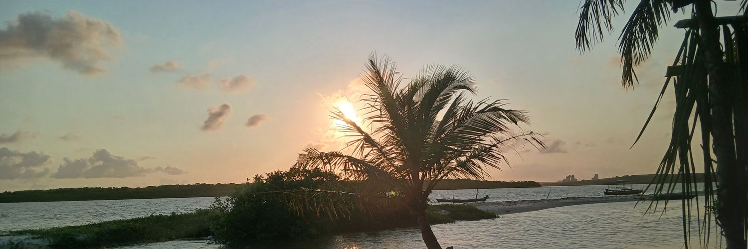 LindaciAlmeida's profile banner image