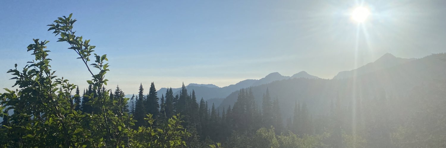 evelynavocado's profile banner image