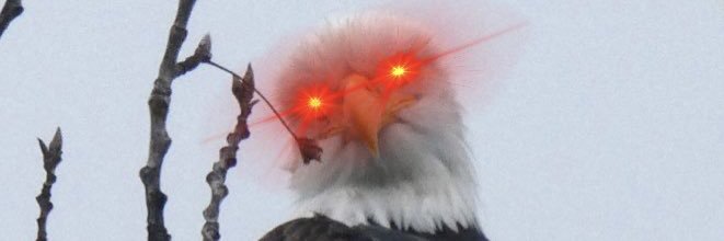 Rev. Ducati ⚔️🪓 banner