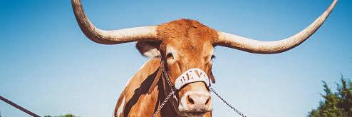 texastab1's profile banner image