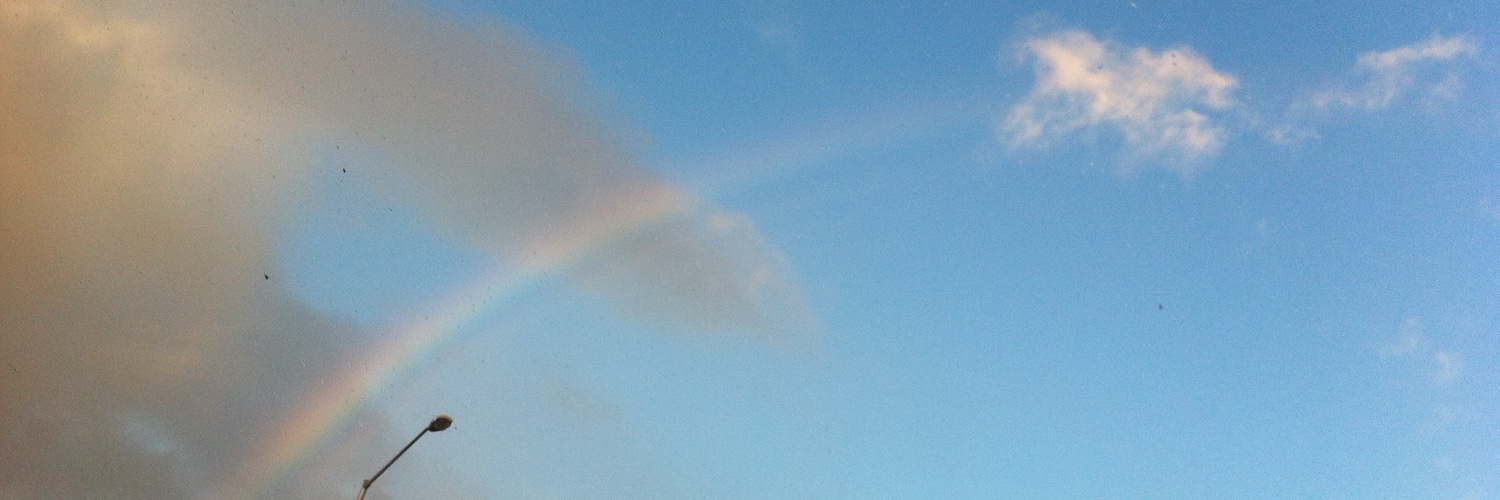 cocotasu's profile banner image